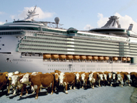 Axiom of the High Seas